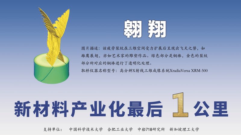 硅酮胶粘剂：揭秘其在建筑密封领域的分类与应用